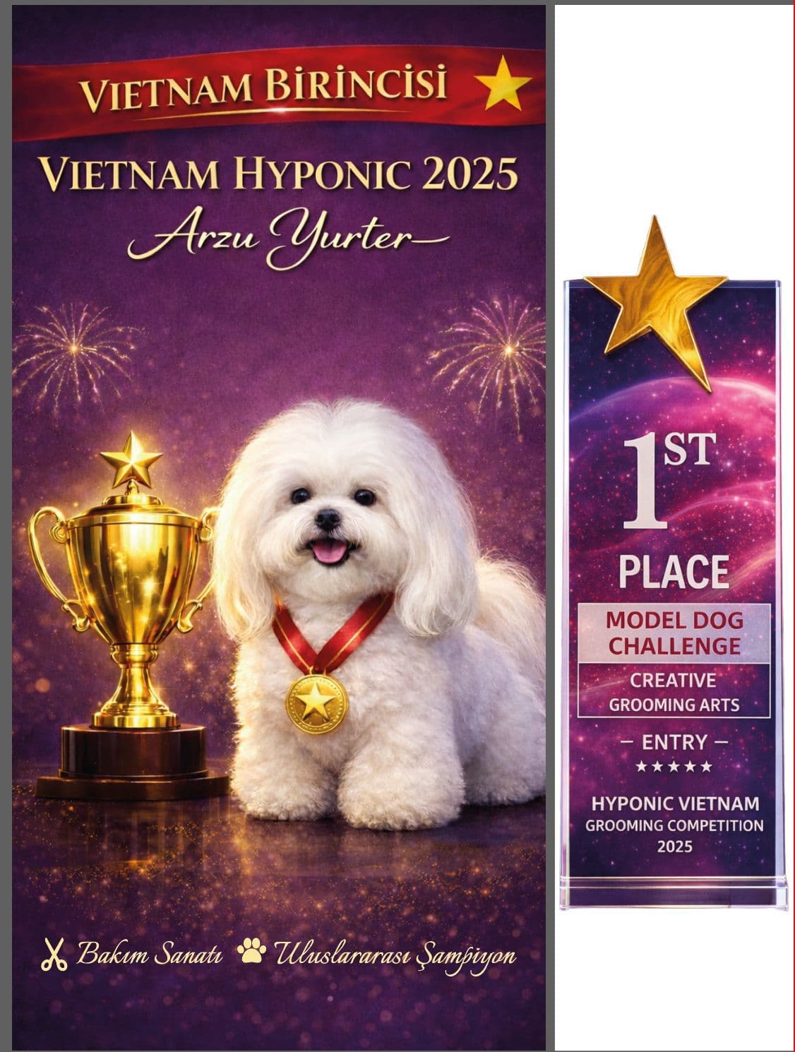 Vietnam Championship