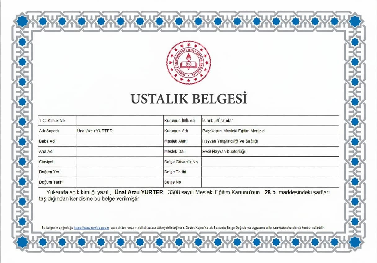 Ustalık Belgesi
